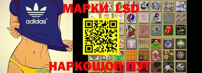 гидра Будённовск