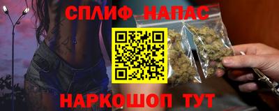 гидра Будённовск