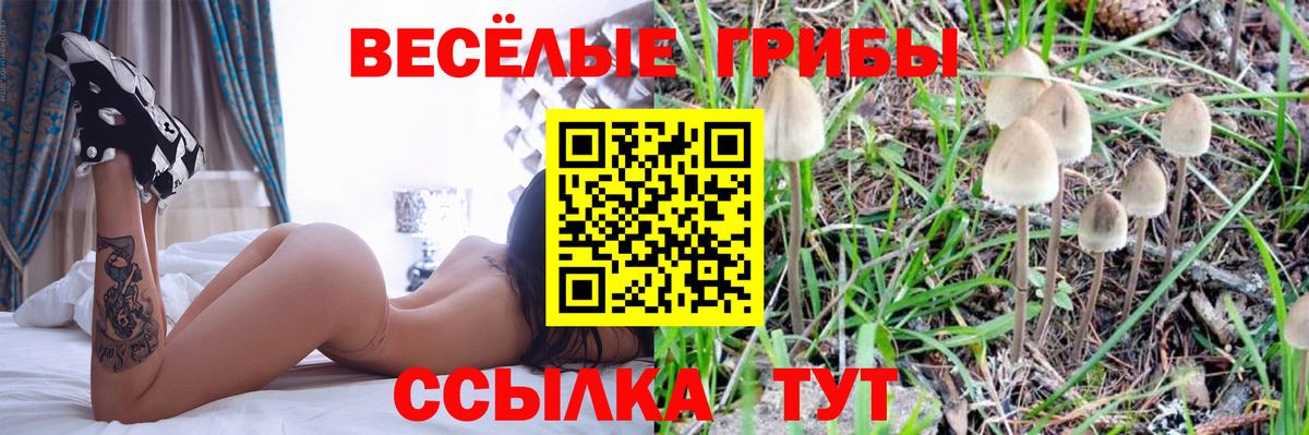 Галлюциногенные грибы Cubensis Партизанск
